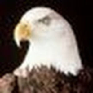 Meet your Posher, Ian